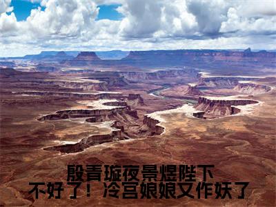 陛下不好了！冷宫娘娘又作妖了在线阅读（ 殷青璇夜景煜）全文免费阅读无弹窗大结局_ (陛下不好了！冷宫娘娘又作妖了全文免费阅读)最新章节列表_笔趣阁（ 殷青璇夜景煜）