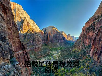 顾总今天又被离婚了（ 洛晚星薄景琛）全文免费阅读无弹窗大结局_顾总今天又被离婚了最新章节列表_笔趣阁