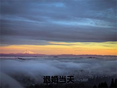 小说退婚当天，我圣人的修为暴露了（ 陆渊姚曲灵小说免费阅读）完结阅读_退婚当天，我圣人的修为暴露了全文免费阅读最新章节大结局