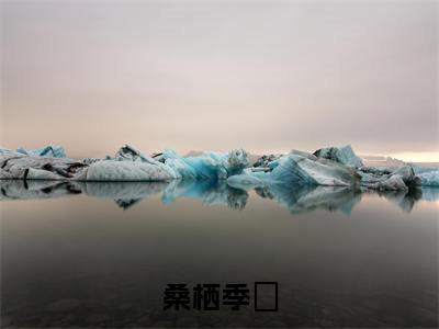桑栖季珵（季珵桑栖）全文免费阅读无弹窗大结局_季珵桑栖最新章节列表_笔趣阁（桑栖季珵）