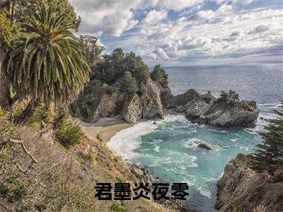君墨炎夜零正版小说全文阅读 夜零君墨炎无删减版