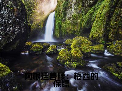 艾伦维拉德梅西全文免费阅读大结局-艾伦维拉德梅西最新章节免费阅读大结局