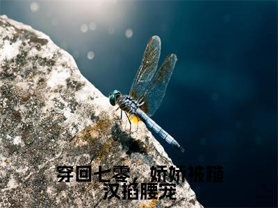 杨美娇许桥安全文免费大结局-穿回七零，娇娇被糙汉掐腰宠结局在线阅读