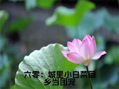 六零:城里小白菜回乡当团宠(颜如玉黄瑾邬)全文免费阅读_六零:城里小白菜回乡当团宠最新章节小说免费阅读_笔趣阁