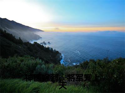 沐南婉免费阅读无弹窗大结局-神医嫁到,将军宠上天最新全章节全文阅读免费阅读-笔趣阁