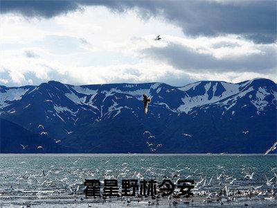 霍星野林今安霍星野林今安免费小说-霍星野林今安(霍星野林今安)已更新最新章节