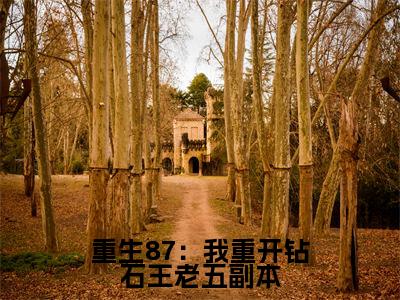 重生87：我重开钻石王老五副本全集免费阅读无弹窗_ 陈兴邦苏静完结小说榜单阅读（ 陈兴邦苏静小说）