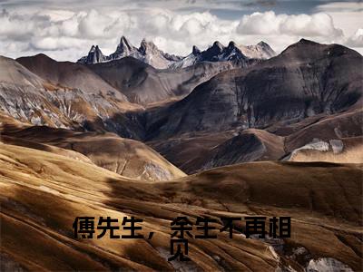 小说傅先生,余生不再相见 免费阅读-(温婉傅景琛)傅先生,余生不再相见 最新章节小说阅读-笔趣阁