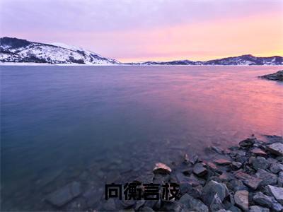 向衡言枝全本资源(向衡言枝)全文免费阅读无弹窗大结局_向衡言枝最新章节列表(向衡言枝)