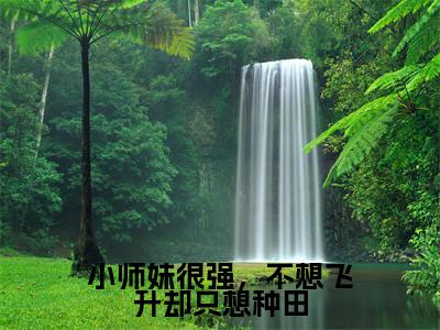 小师妹很强,不想飞升却只想种田小说主角叫什么 苏洛雪全文免费阅读大结局