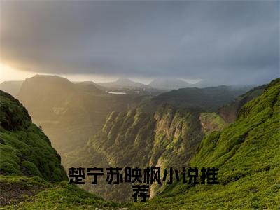 渣男宠妾灭妻？她二嫁太子（ 楚宁苏映枫）热门小说盘点在线阅读-渣男宠妾灭妻？她二嫁太子小说无弹窗