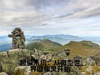 超级系统：从微型世界做神灵开始全文免费阅读无弹窗大结局_(苏冉免费阅读)超级系统：从微型世界做神灵开始最新章节列表_笔趣阁