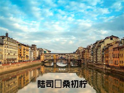 陆司琤桑初柠全集免费阅读无弹窗_陆司琤桑初柠完结小说榜单阅读（陆司琤桑初柠小说）