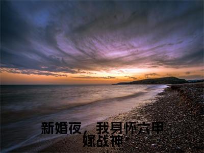 新婚夜,我身怀六甲嫁战神多人追的小说在哪里可以看 雪思月知乎连载小说免费阅读全章节