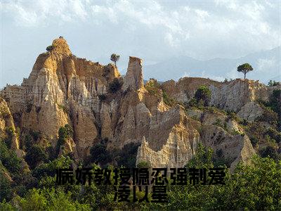 病娇教授隐忍强制爱凌以星（贺承墨凌以星）全文免费阅读-小说病娇教授隐忍强制爱凌以星大结