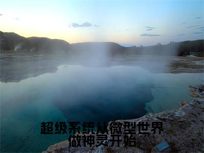苏冉是超级系统从微型世界做神灵开始的小说_主角是苏冉免费阅读_苏冉小说免费阅读-笔趣阁