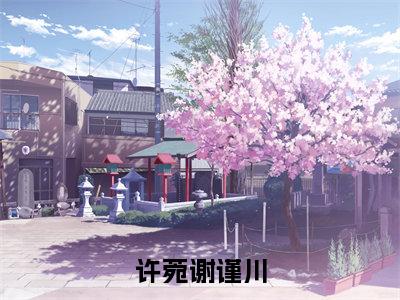 许菀谢谨川(许菀谢谨川)全文免费阅读无弹窗大结局_ 许菀谢谨川最新章节列表_笔趣阁