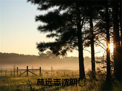 林远志沈明琇全文（林远志沈明琇）全文免费阅读无弹窗大结局_（林远志沈明琇全文）林远志沈明琇全文最新章节列表_笔趣阁（林远志沈明琇全文）