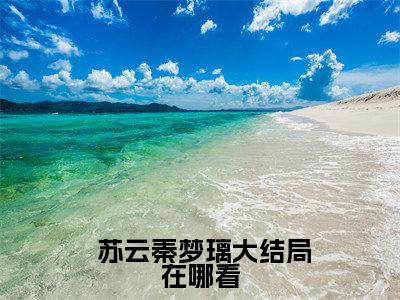 苏云秦梦璃全文免费阅读大结局-现在的我你高攀不起结局免费阅读