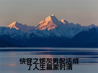 时清是快穿之炮灰男配活成了人生赢家时清的小说_主角是时清免费阅读_时清小说免费阅读-笔趣阁