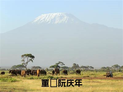 （阮庆年董苼）是什么小说-（董苼阮庆年）全文免费阅读无弹窗大结局（阮庆年董苼）最新章节列表_笔趣阁