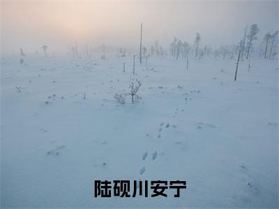 （陆砚川安宁）陆砚川安宁小说推荐阅读-主角为陆砚川安宁的小说叫什么陆砚川安宁