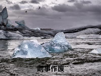 前事作废全文免费阅读无弹窗大结局_前事作废全文阅读_笔趣阁（余枝贺泗）