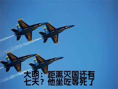 大明：距离灭国还有七天？他坐吃等死了小说（ 崇祯唐通）小说全文免费 崇祯唐通读无弹窗大结局笔趣阁（大明：距离灭国还有七天？他坐吃等死了）