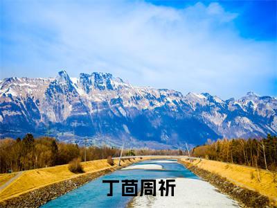 丁茴周祈小说(周祈丁茴)全文免费阅读结局-丁茴周祈强推全文阅读无弹窗