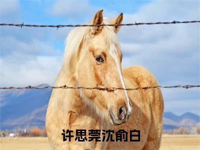 沈俞白许思莞全文免费阅读_(许思莞沈俞白免费阅读无弹窗)沈俞白许思莞最新章节列表笔趣阁