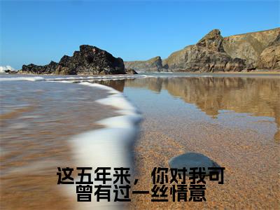 这五年来,你对我可曾有过一丝情意无广告免费阅读-小说陆之延姜婉最后结局如何
