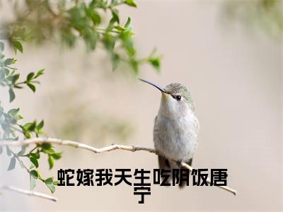 唐宁(蛇嫁我天生吃阴饭唐宁)免费全文阅读小说_（唐宁）蛇嫁我天生吃阴饭唐宁最新章节列表-笔趣阁（唐宁）