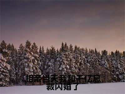 林听祁年全文免费阅读大结局-相亲当天我和千亿总裁闪婚了最新章节阅读