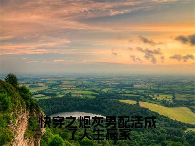 时清小说免费阅读无弹窗,小说名字是:快穿之炮灰男配活成了人生赢家的小说在线阅读无删减