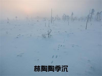 林陶陶季沉(林陶陶季沉全章节完整版)免费阅读_(林陶陶季沉)林陶陶季沉全文无删减免费阅读