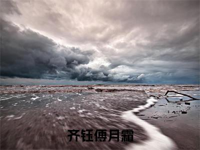 齐钰傅月霜(齐钰傅月霜)全文免费阅读无弹窗大结局_齐钰傅月霜在线阅读笔趣阁(齐钰傅月霜)