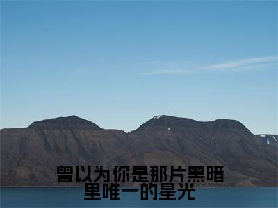 曾以为你是那片黑暗里唯一的星光（苏韫祝霆深）小说全文免费阅读正版无弹窗_(苏韫祝霆深)免费阅读无弹窗最新章节列表_笔趣阁