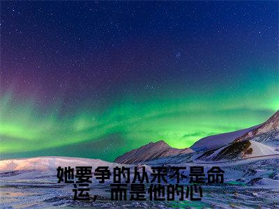 她要争的从来不是命运,而是他的心 小说全文免费阅读无弹窗大结局-何嘉冉薄司景 小说在哪里可以看