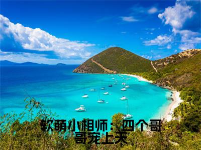 软萌小相师：四个哥哥宠上天小说（ 宁宣刘大宽）全文免费阅读无弹窗大结局_软萌小相师：四个哥哥宠上天最新章节列表_笔趣阁