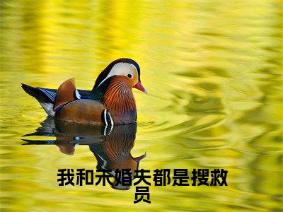 我和未婚夫都是搜救员(司柠季宴礼)全文免费阅读无弹窗大结局_我和未婚夫都是搜救员最新章节列表-笔趣阁司柠季宴礼