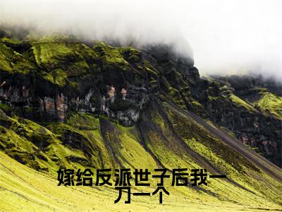 （热推新书）《嫁给反派世子后我一刀一个》全文免费阅读无弹窗大结局- 云纤傅知禾无弹窗阅读