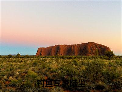 小说钓鱼专家陆尘免费阅读-(陆尘)全文无弹窗阅读