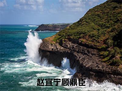 赵宜宁顾鼎臣(顾鼎臣赵宜宁)全文免费阅读_赵宜宁顾鼎臣(顾鼎臣赵宜宁)章节免费阅读-笔趣阁