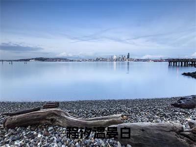 温晏白程汐(温晏白程汐)全文免费阅读无弹窗大结局_程汐温晏白:温晏白程汐最新章节列表_笔趣阁(温晏白程汐)