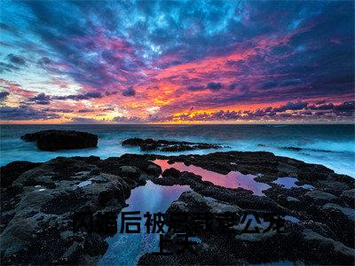 闪婚后被总裁老公宠上天 (姜柠程楼)免费阅读完整版-(闪婚后被总裁老公宠上天 小说)姜柠程楼全文大结局已完结