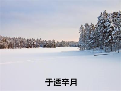 于适辛月全文免费在线阅读_(于适辛月全文免费阅读无弹窗大结局)于适辛月最新章节列表笔趣阁