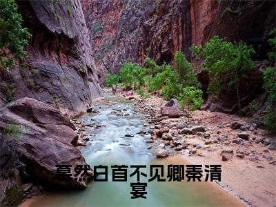 小说（慕然白首不见卿秦清宴）宁栀夏秦清宴全文阅读-精彩美文慕然白首不见卿秦清宴免费阅读