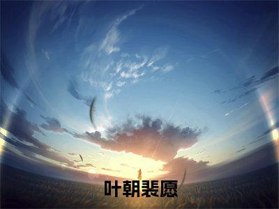 小说叶朝裴愿全文免费阅读无弹窗大结局-叶朝裴愿叶朝裴愿免费阅读大结局