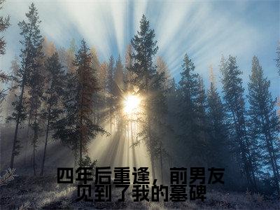 四年后重逢，前男友见到了我的墓碑免费小说-（四年后重逢，前男友见到了我的墓碑）夏少辞杜笙笙完结版在线阅读