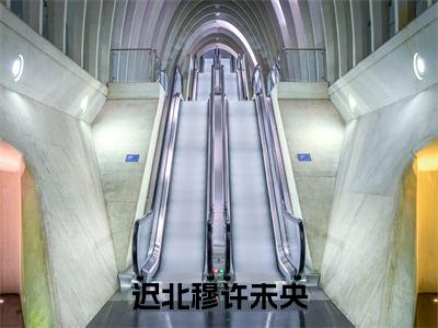 迟北穆许未央（迟北穆许未央）热门小说盘点在线阅读-迟北穆许未央小说无弹窗